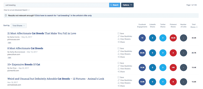 Screenshot of Buzzsumo showing how to use it to find curated social content