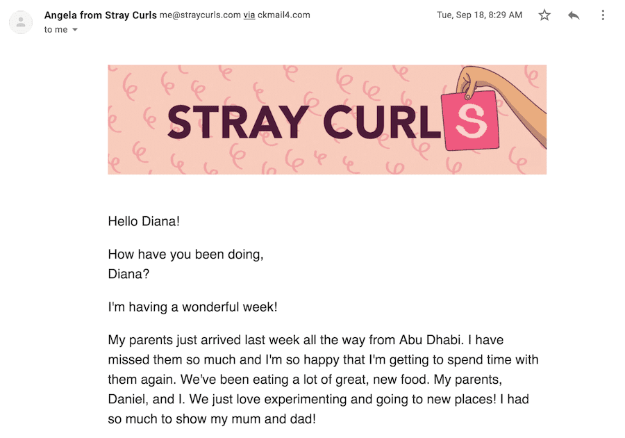 Stray Curls - Email newsletter example
